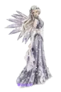 Fairy