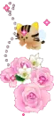 pink roses