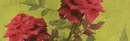 red roses
