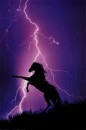 horse and lightning