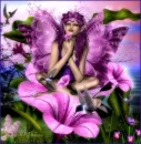 Hummingbird Fairy