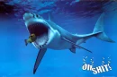 shark