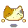 Kitty so CUTE!!!