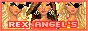 Rex Angels