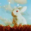 White Rabbit
