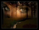 Eyes
