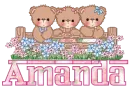 Amanda - 3 Bear Friends 