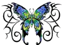 blue and yellow butterfly