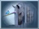 butterfly-friend 1