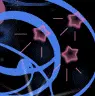 Pink Stars
