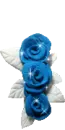 blue roses
