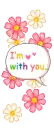 lovely flowers