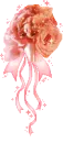 lovely flowers