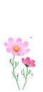 cute flowers
