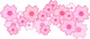 pink flowers