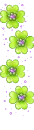 clover