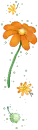 cute flowers