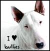 I love bullies