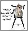 cat in chair