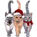 cat x-mas