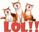 laughing cats