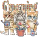 spring, good morning cats