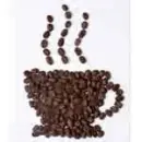 Coffee Bean Cup