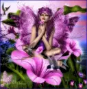 HummingFairy