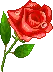 Â«RoseÂ»