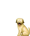 Dog â•‘