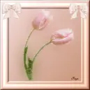 Floral Frame Pink Tulips