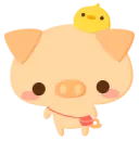 pig