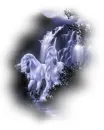mystical creatures