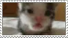 Rawr (Stamp)