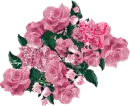 Rose Bunch Rainbow