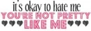 it's ok to hate me