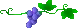 grape
