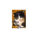 Audrey Kitten
