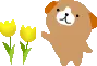 bear