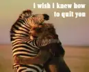 Quit You.