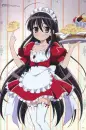 Megumi Maid.