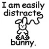 i am easily distracte... bunny.