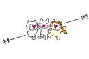 Cat Bus Cats.