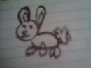 bunny
