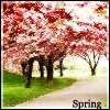 cute kawaii spring avatar