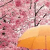 cute kawaii spring avatar
