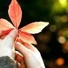 autumn avatar