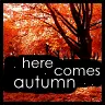 autumn avatar