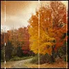 autumn avatar