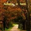 autumn avatar